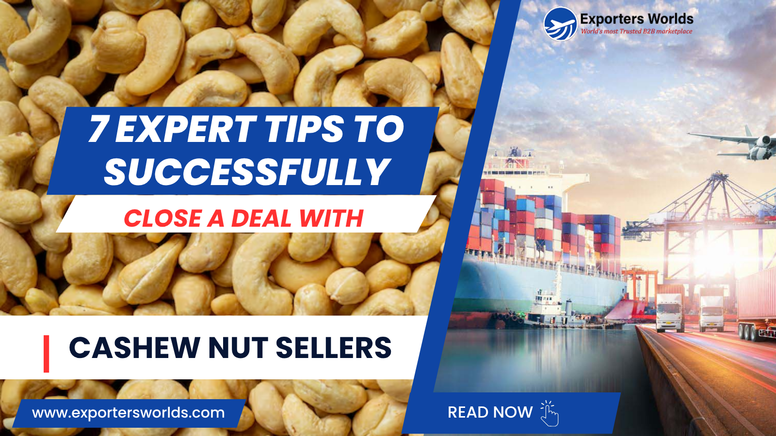 7 Expert Tips to Successfully Close a Deal with Cashew Nut Sellers