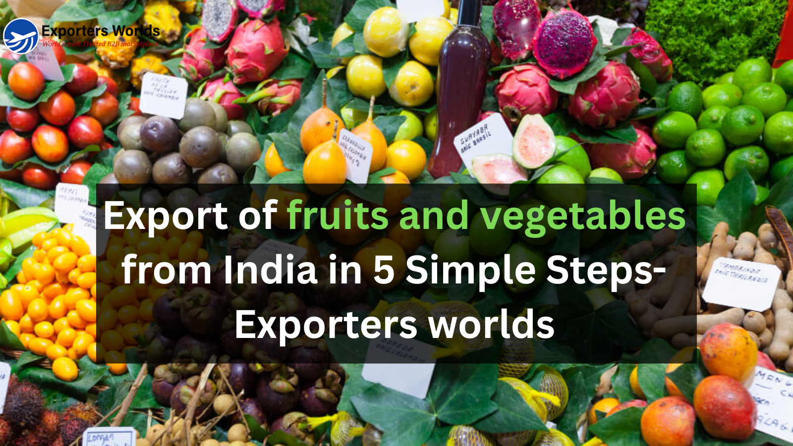 Export of fruits and vegetables from India in 5 Simple Steps-Exporters worlds