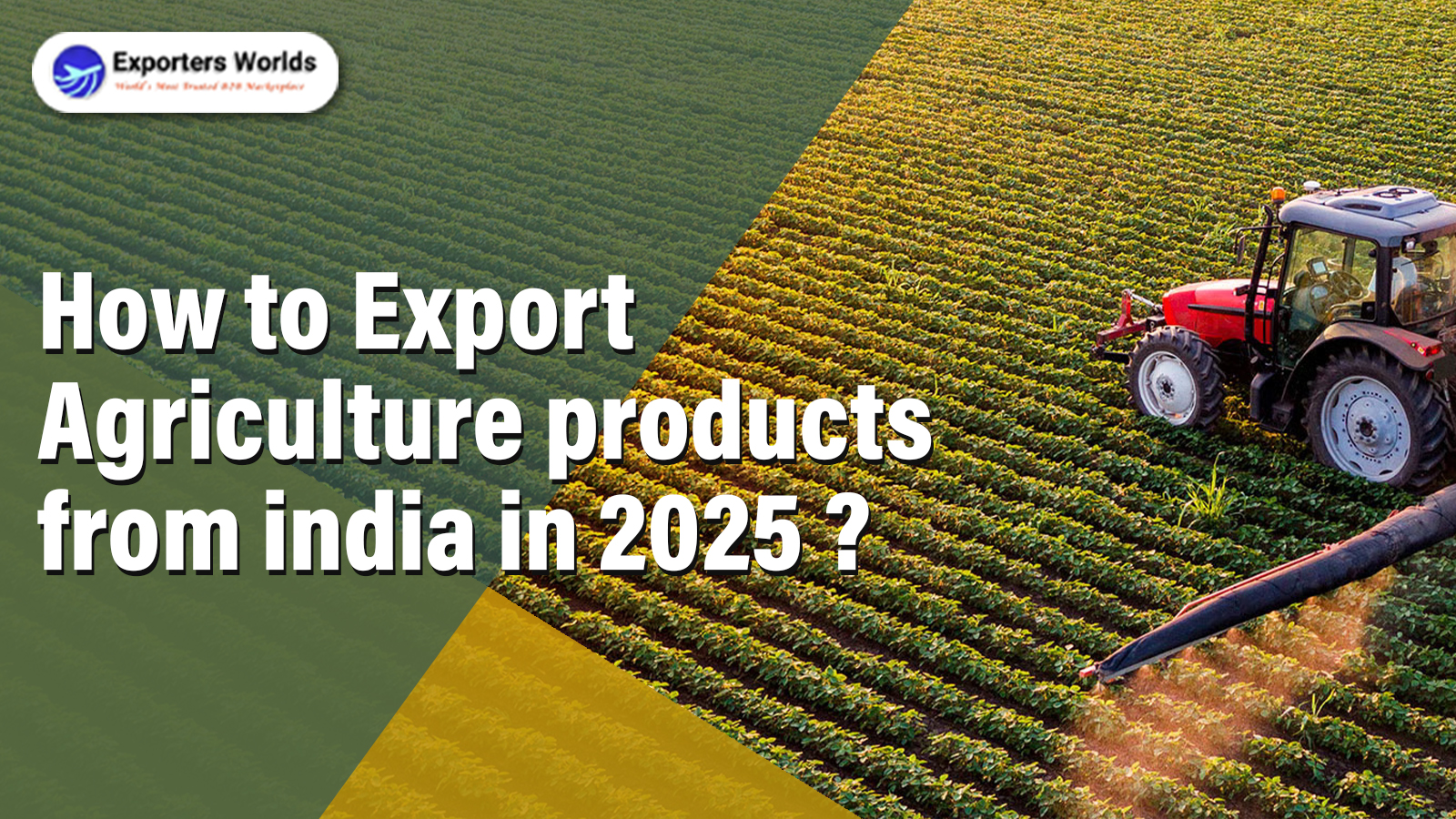 How to Export Agriculture Products  from India in 2025 ?