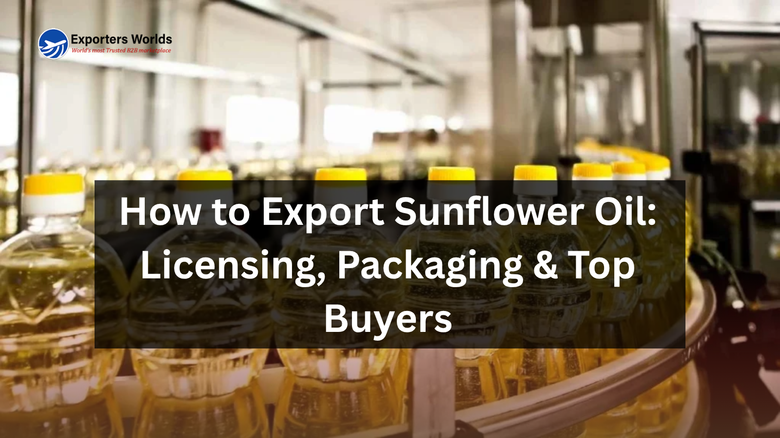 How to Export Sunflower Oil- Licensing, Packaging & Top Buyers