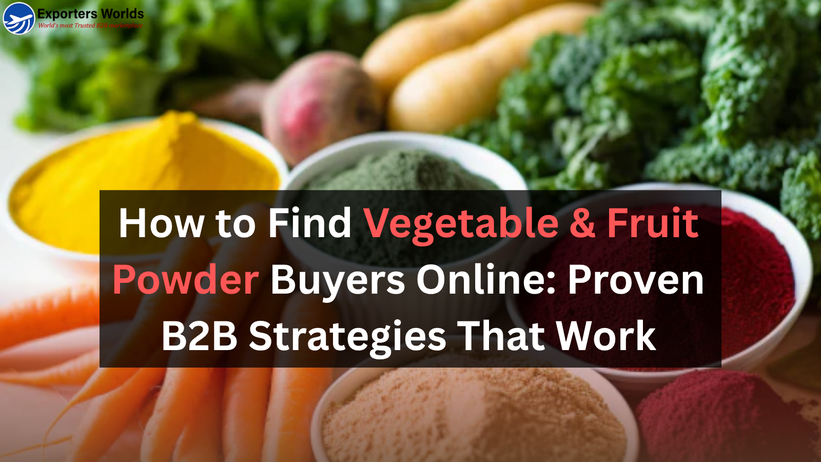 How to Find Vegetable & Fruit Powder Buyers Online | Proven B2B Strategies