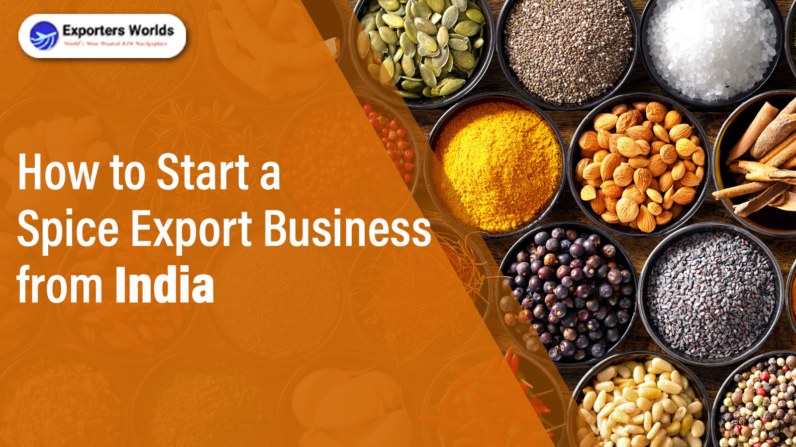How to Start a Spice Export Business from India: Step-by-Step Guide
