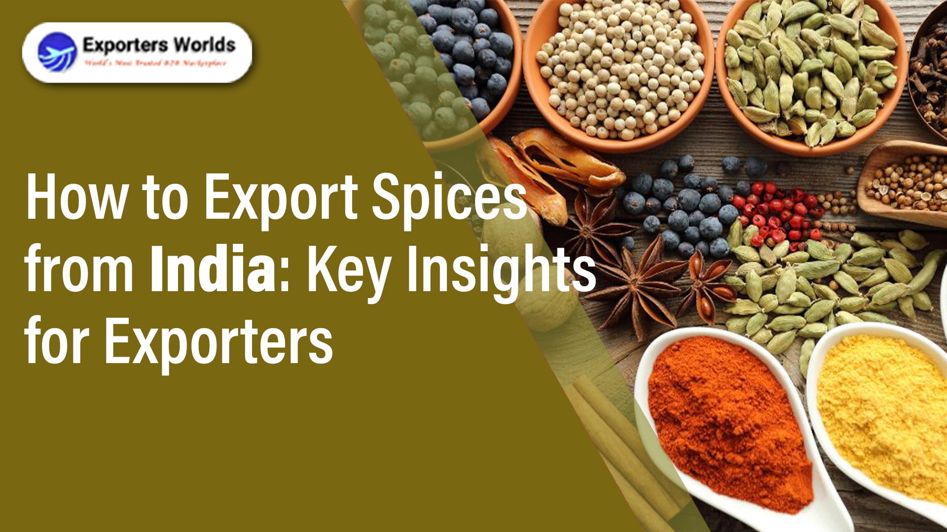 How to Export Spices from India: Key Insights for Exporters