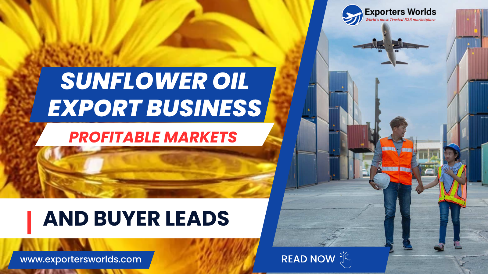 Sunflower Oil Export Business: Profitable Markets & Verified Buyer Leads