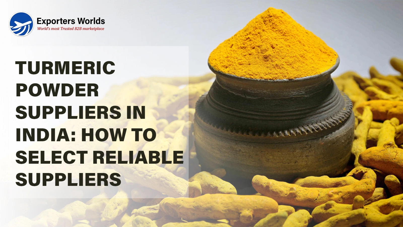 Turmeric Powder Suppliers in India: How to Select Reliable Suppliers