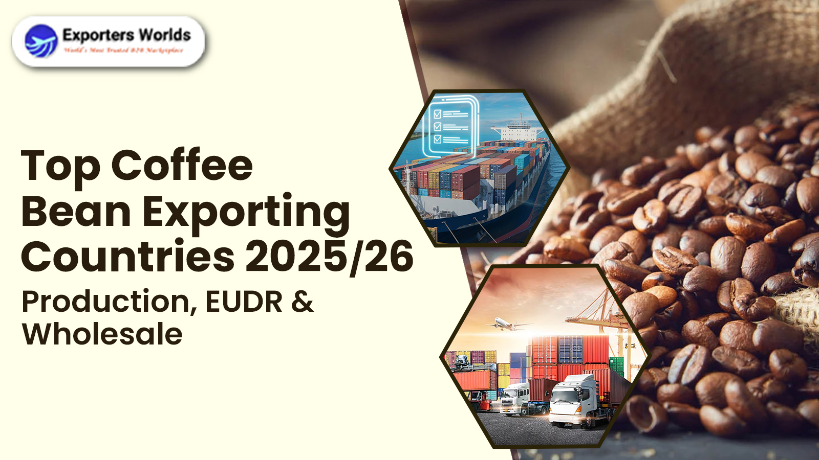 Top Coffee Bean Exporting Countries 2025/26: Production, EUDR & Wholesale