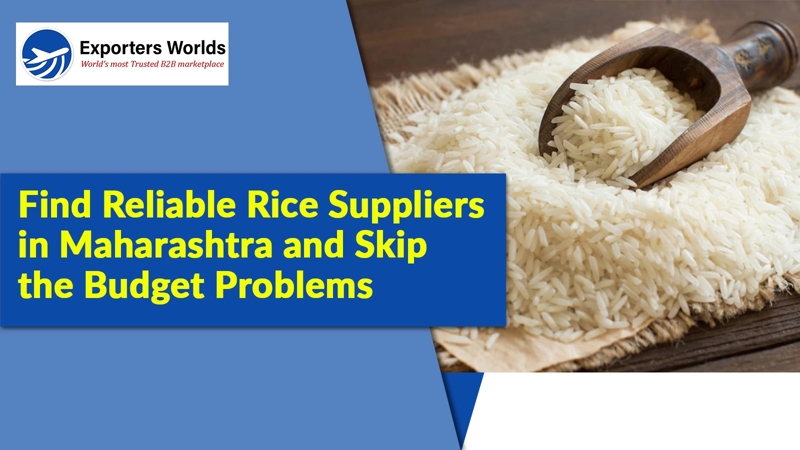 Find Reliable Rice Suppliers in Maharashtra and Skip the Budget Problems