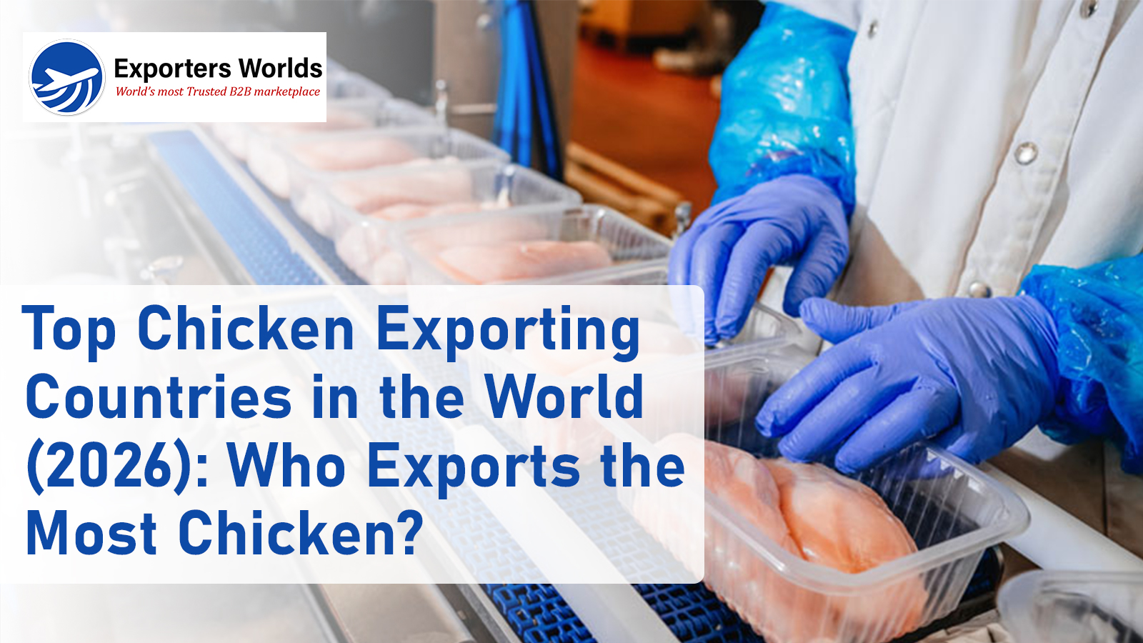 Top Chicken Exporting Countries in the World (2026): Who Exports the Most Chicken?