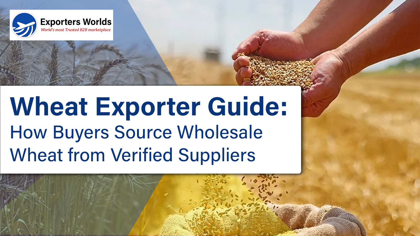 Wheat Exporter Guide: How Buyers Source Wholesale Wheat from Verified Suppliers