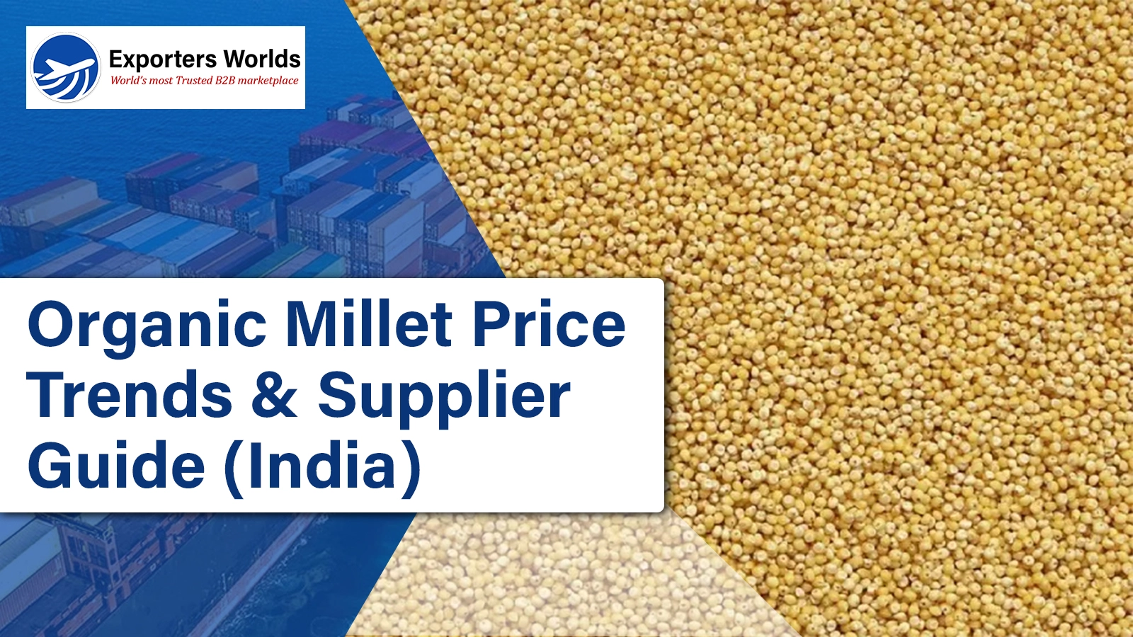 Organic Millet Price Trends & Supplier Guide (India)