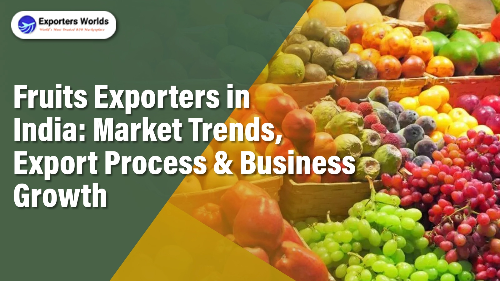 Fruits Exporters in India: Market Trends, Export Process & Business Growth
