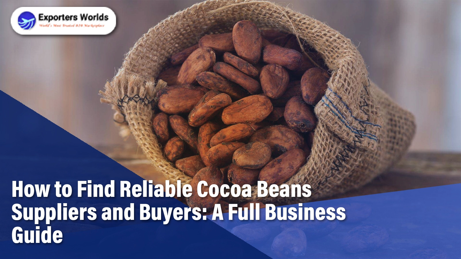 How to Find Reliable Cocoa Beans Suppliers and Buyers: A Full Business Guide