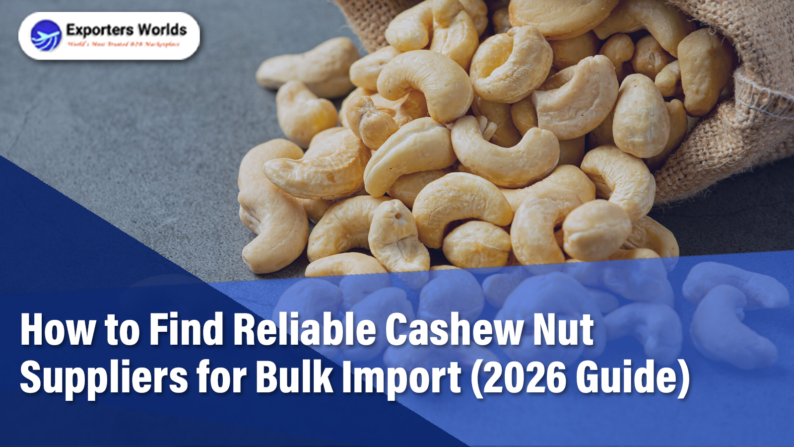 How to Find Reliable Cashew Nut Suppliers for Bulk Import (2026 Guide)