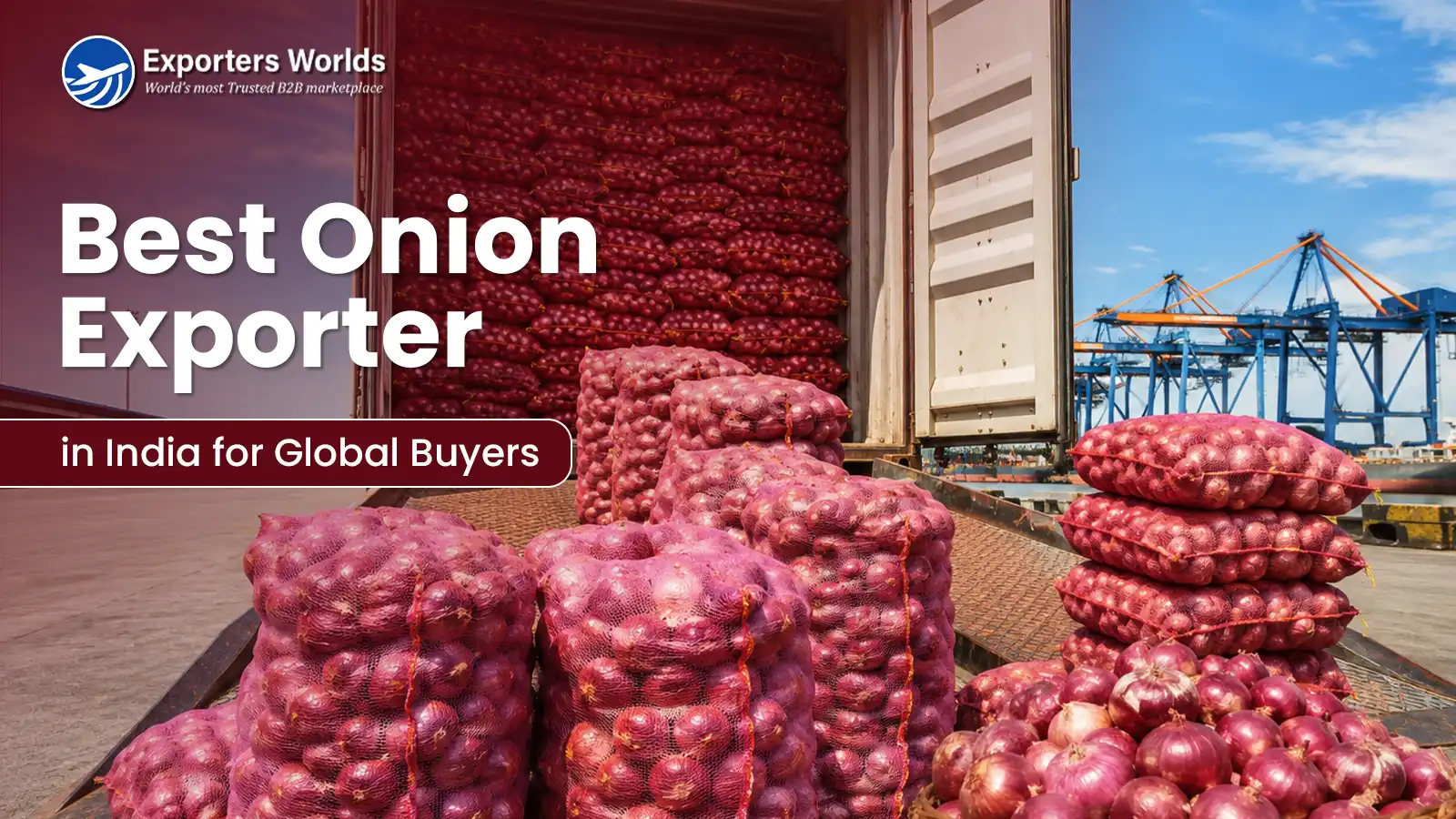 Best Onion Exporters in India for Global Buyers