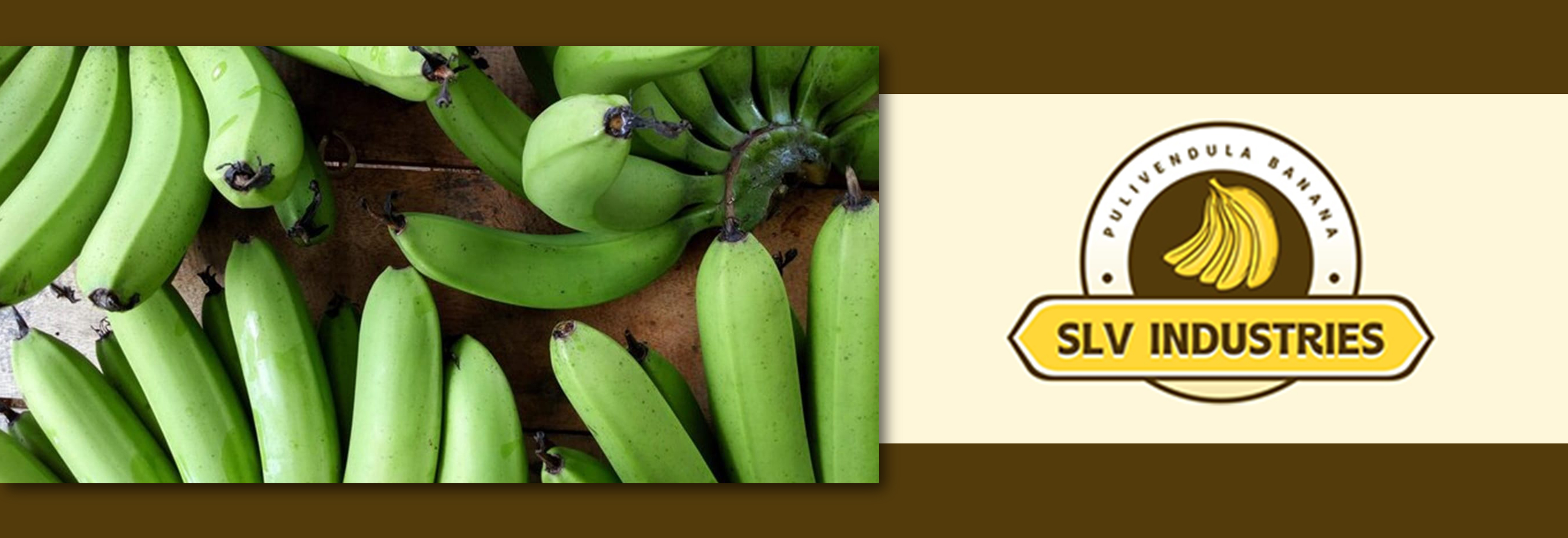 SLV INDUSTRIES