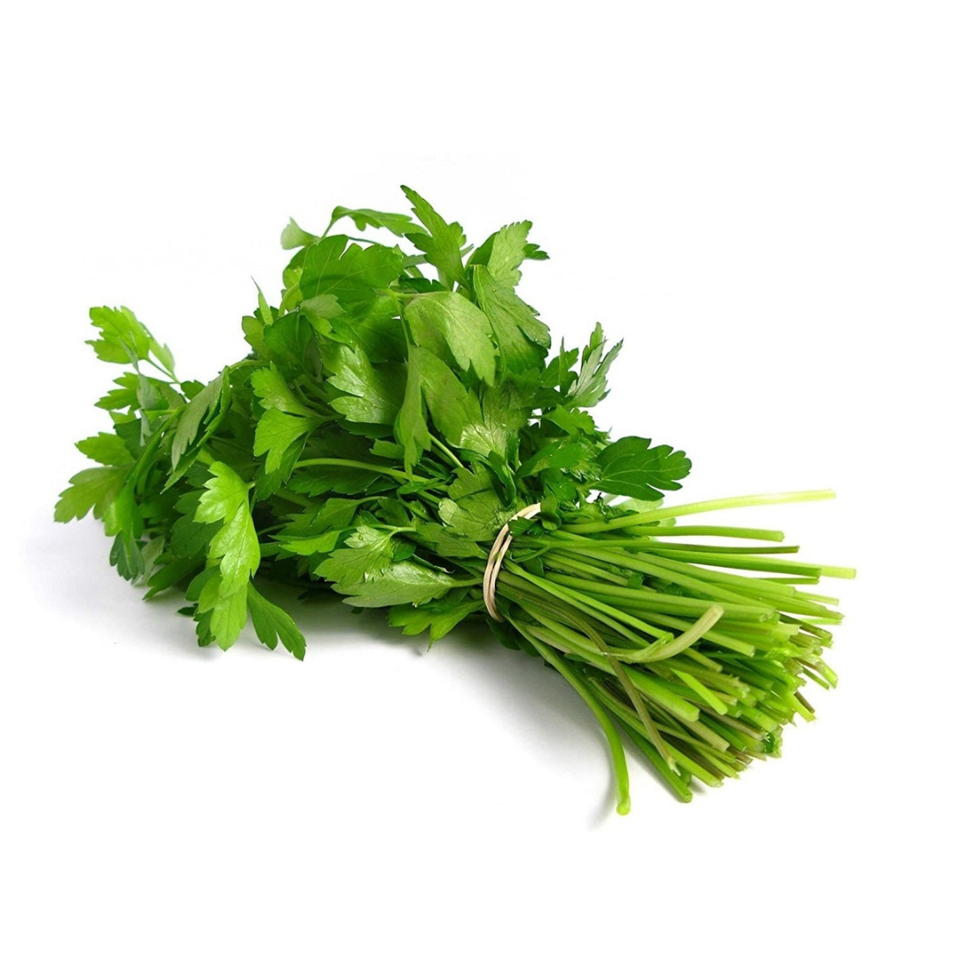 Fresh Coriander