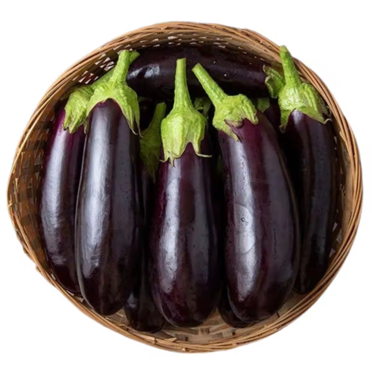 Fresh Long Eggplant for Wholesale &amp; Export Supply