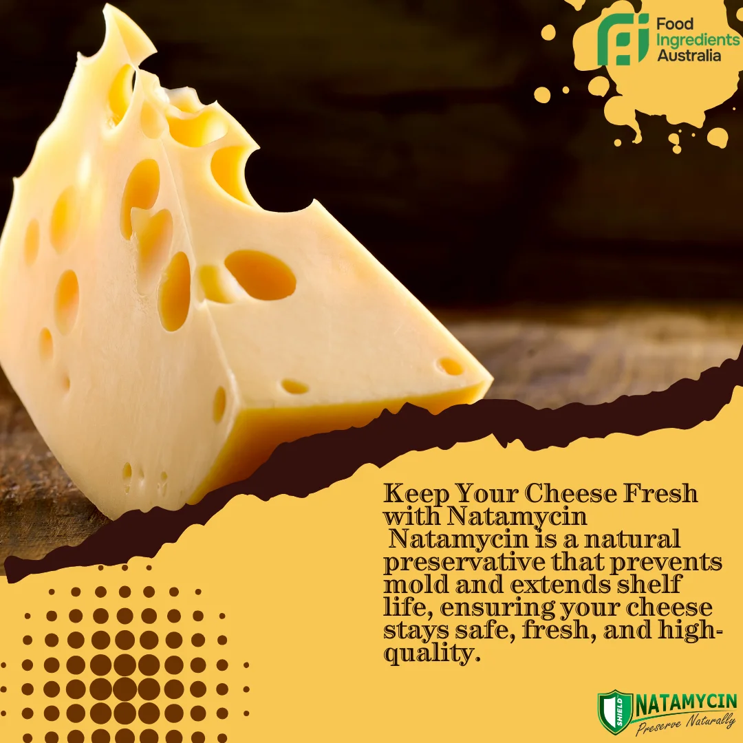 Natamycin E235 Food Grade Powder SHIELD 500g Dairy &amp; Cheese Preservative – Australia Supplier