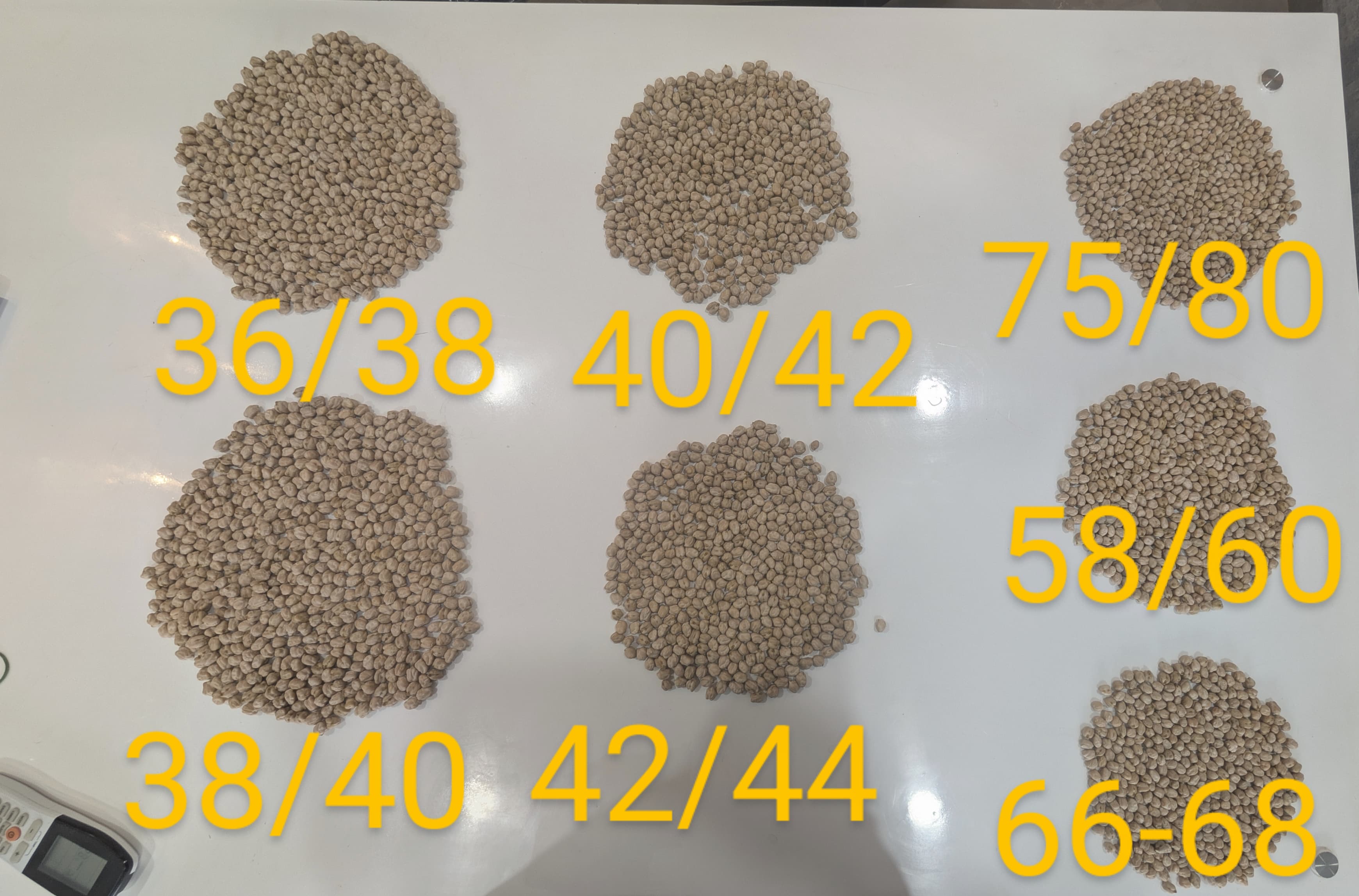 chick peas kabuli chana
