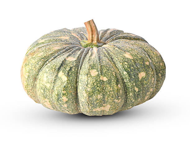 Fresh Pumpkin for Wholesale &amp; Export Supply