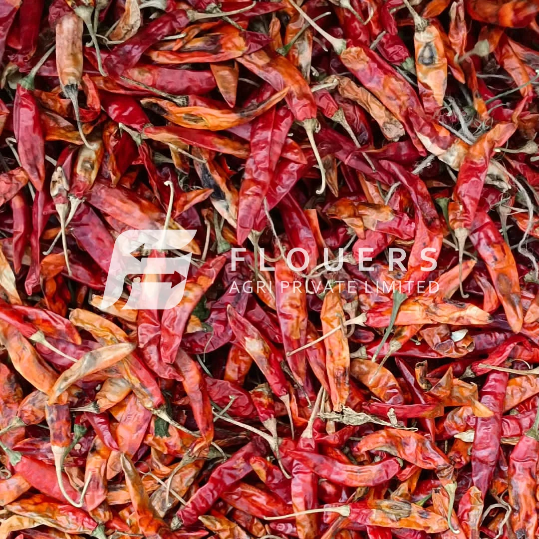 Dry Red Chilli