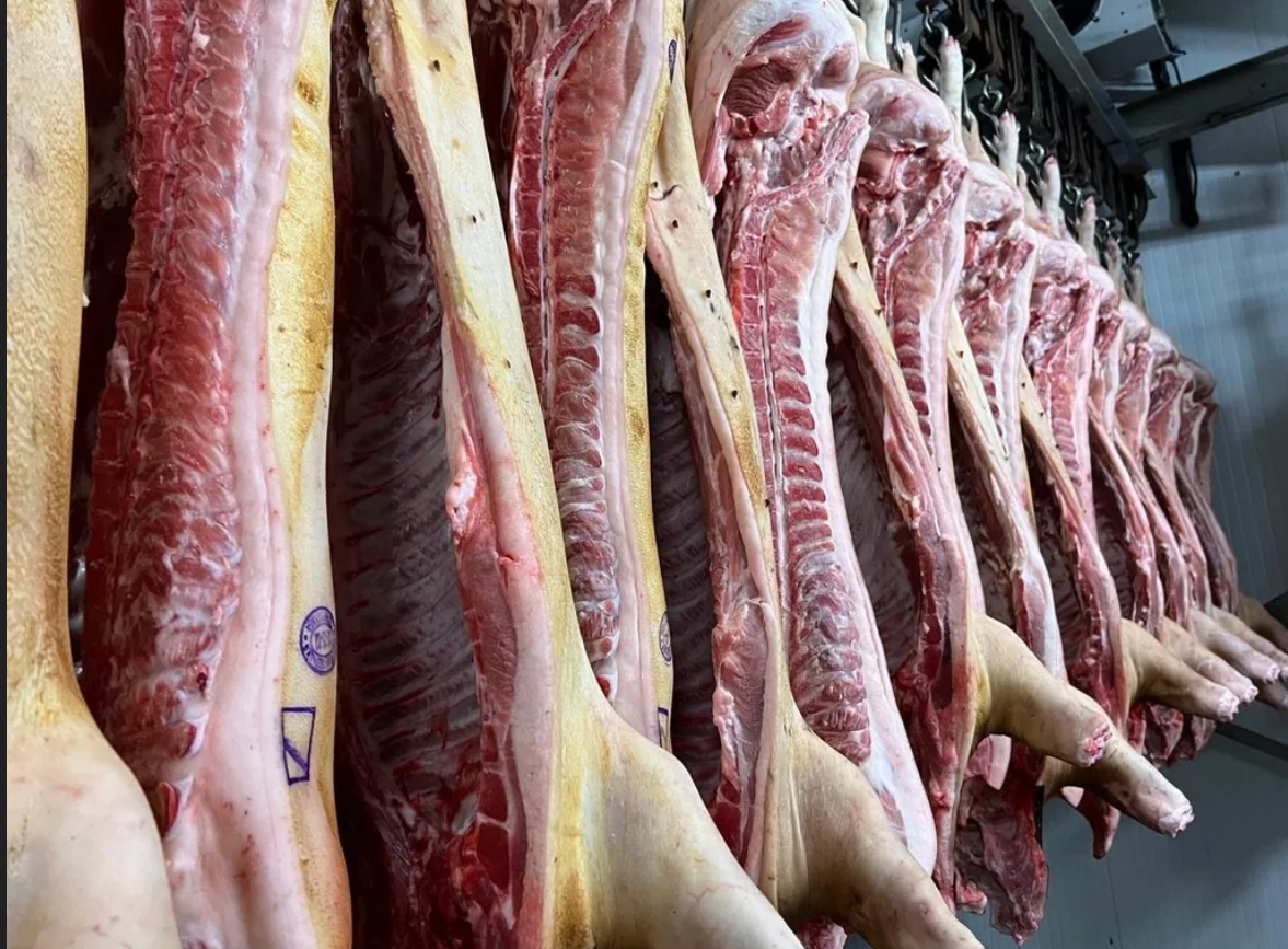 FROZEN PORK CARCASS AND CUTS