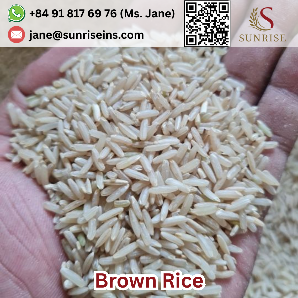 Brown Rice 5% broken Healthy Rice Long grain brown rice