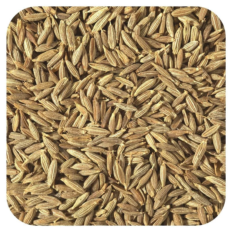 Indian Cumin Seeds (Jeera) – Premium Export Grade