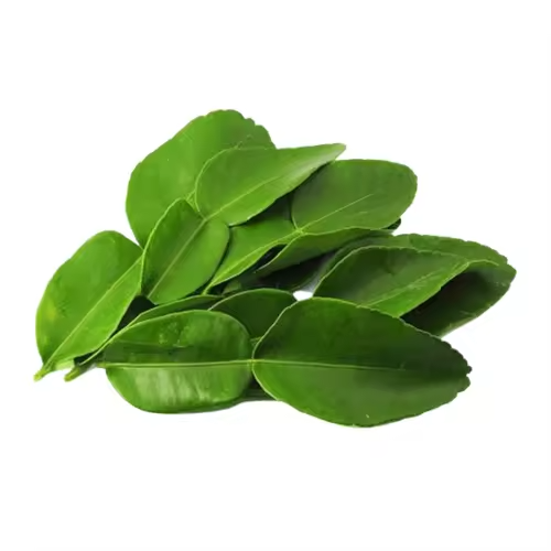 Fresh Kaffir Lime Leaves for Culinary &amp; Food Processing Use