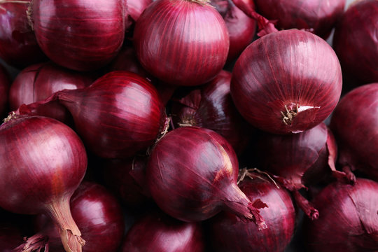 Fresh Onion 55+ Size