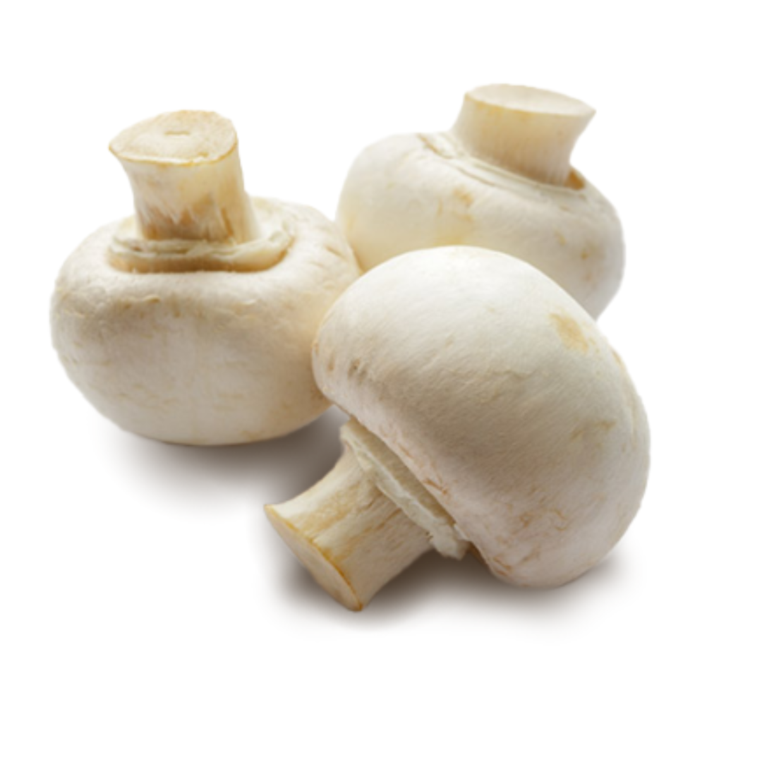White Mushroom