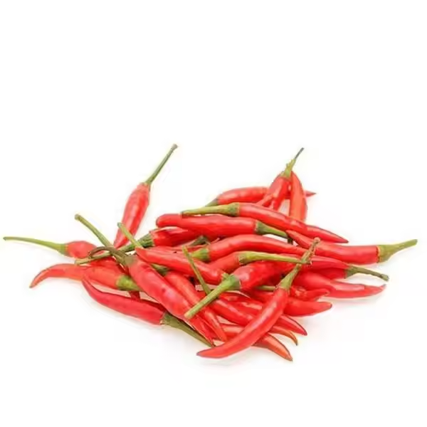 Fresh Chili Peppers for Wholesale &amp; Export Supply