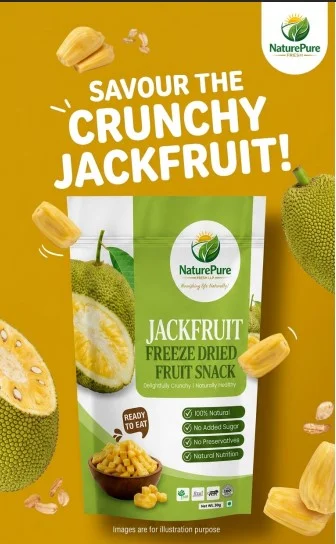 JACKFRUIT POWDER AND SLICES