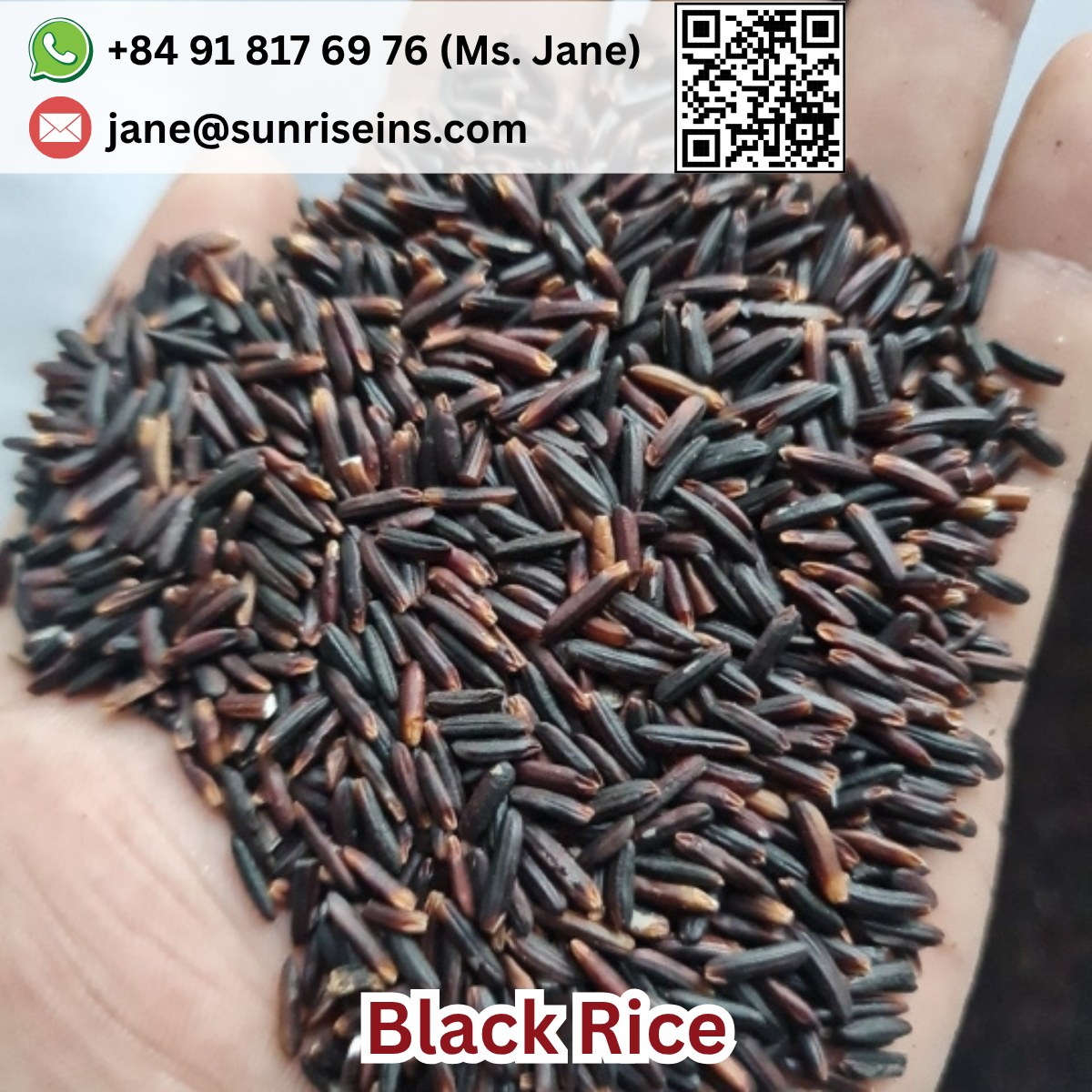 Black Rice 5% broken Healthy Long Grain 