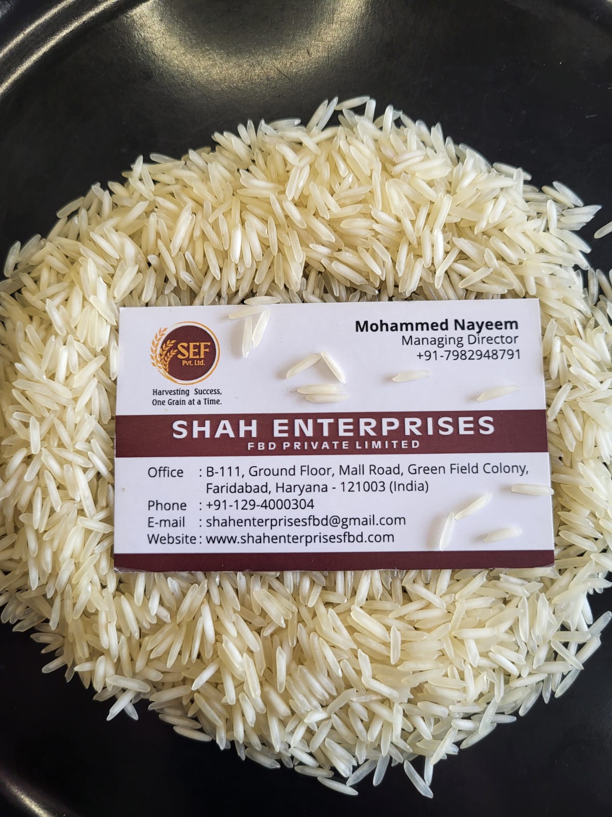 1718 Raw Basmati Rice