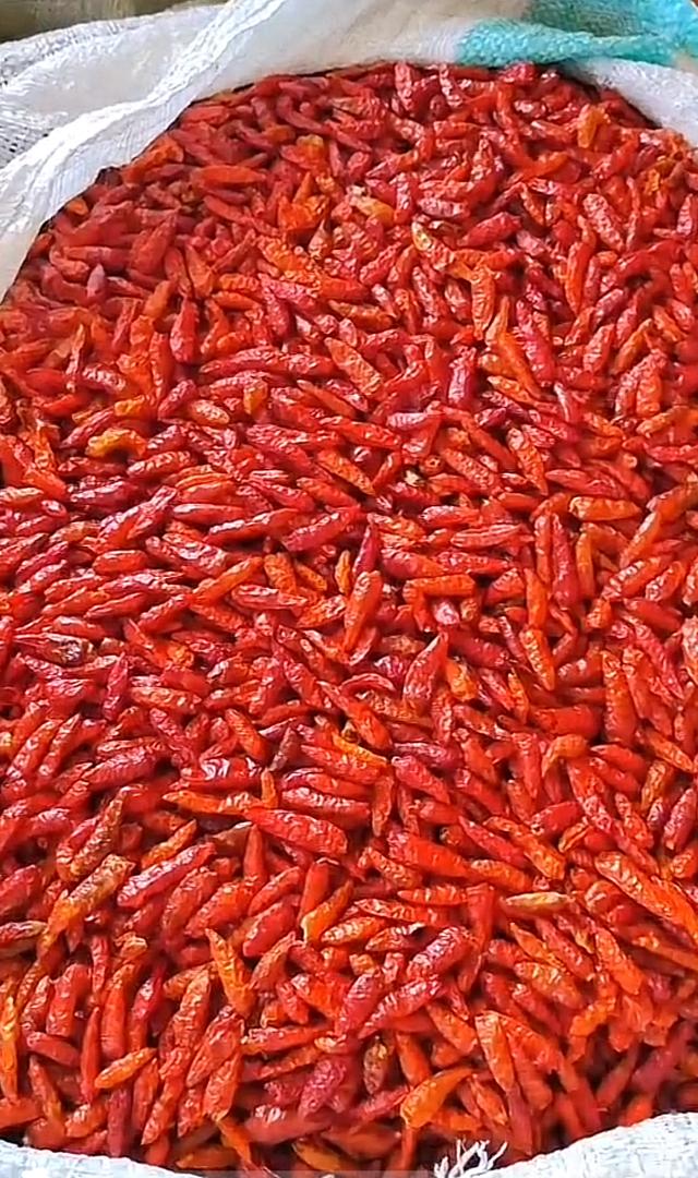 Dried Red Chilli Pepper