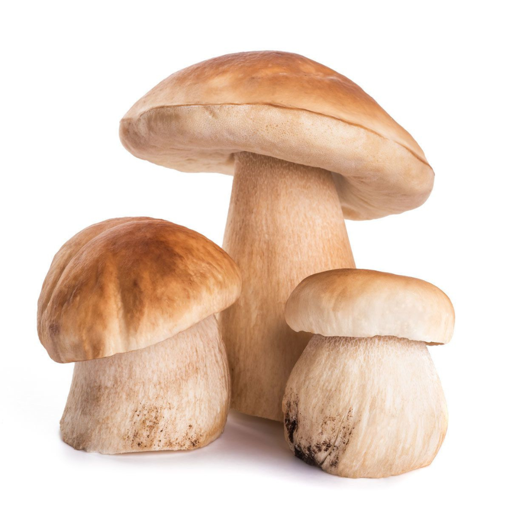 Mushrooms
