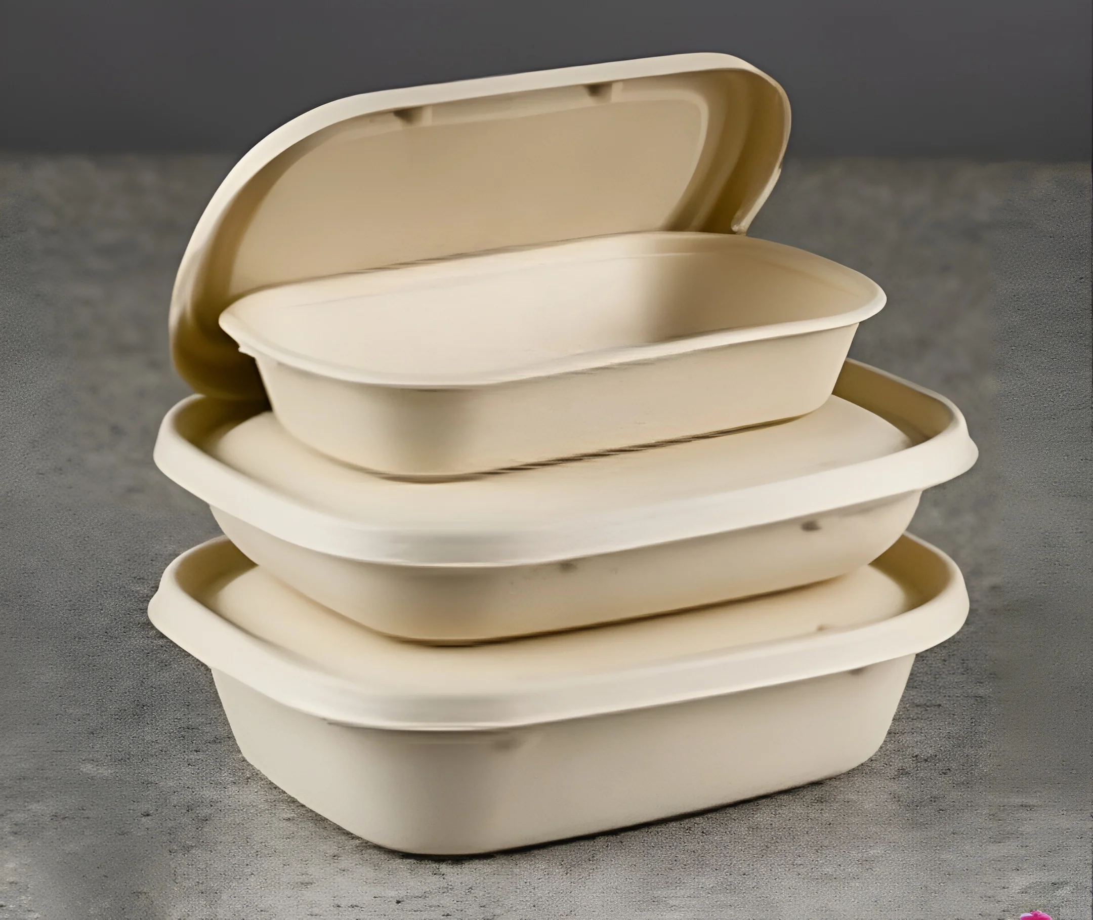 Baggase food containers Round and rectangular