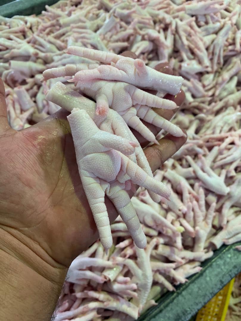 Frozen Chicken Products for Sale (export)