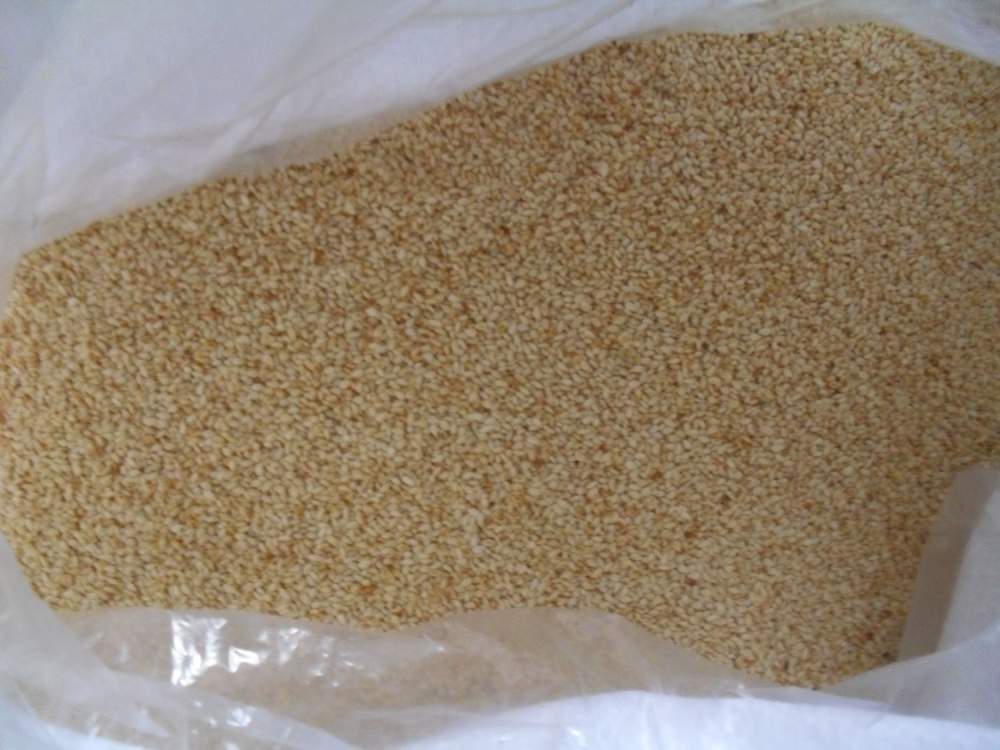 SESAME SEED
