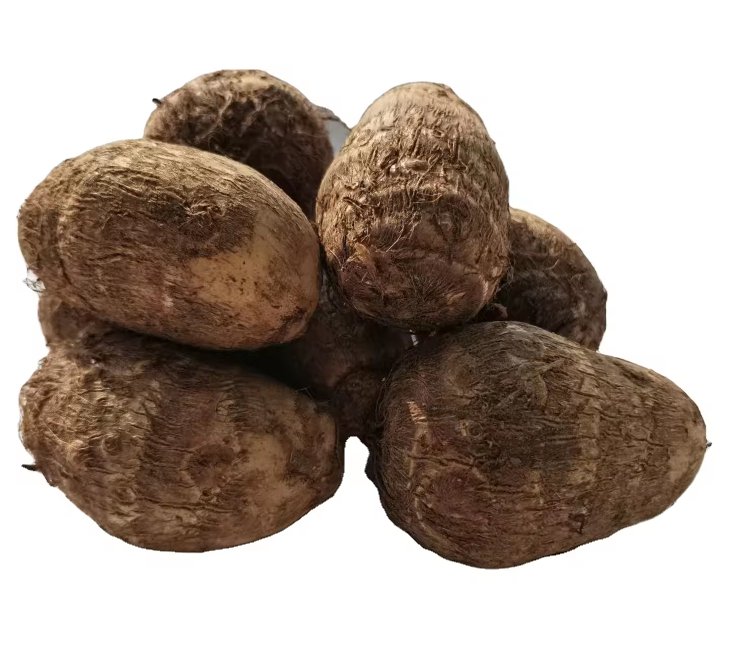 Fresh Taro Roots for Wholesale &amp;amp;amp; Food Processing Use