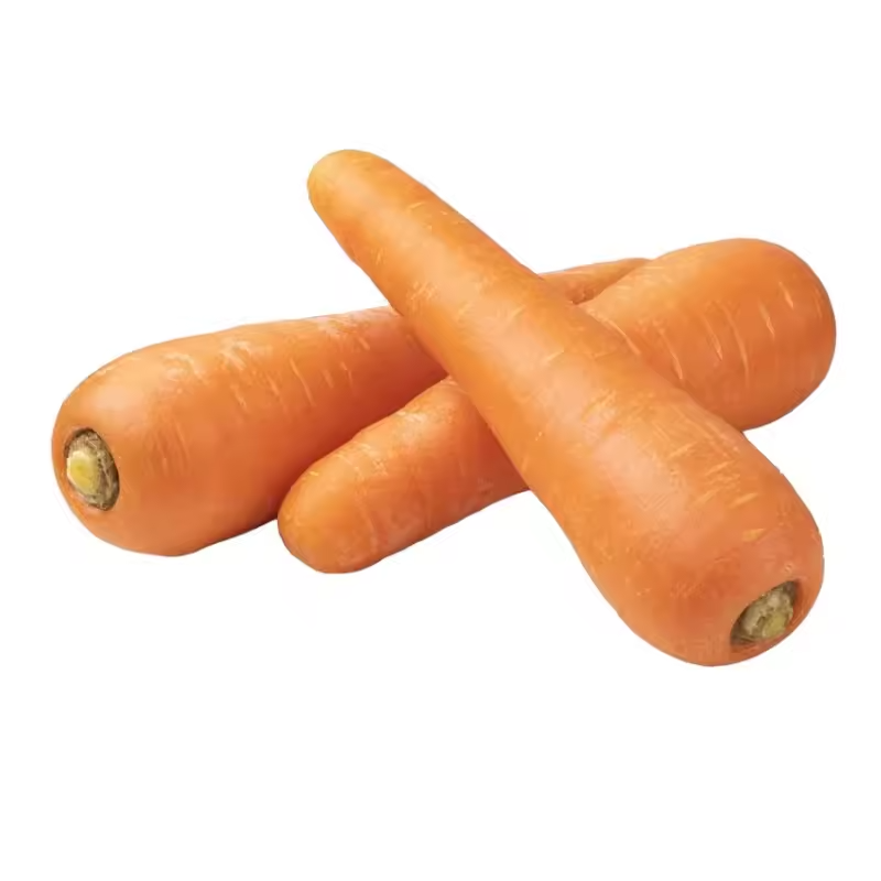 Fresh Carrots for Wholesale &amp;amp;amp; Food Processing Use