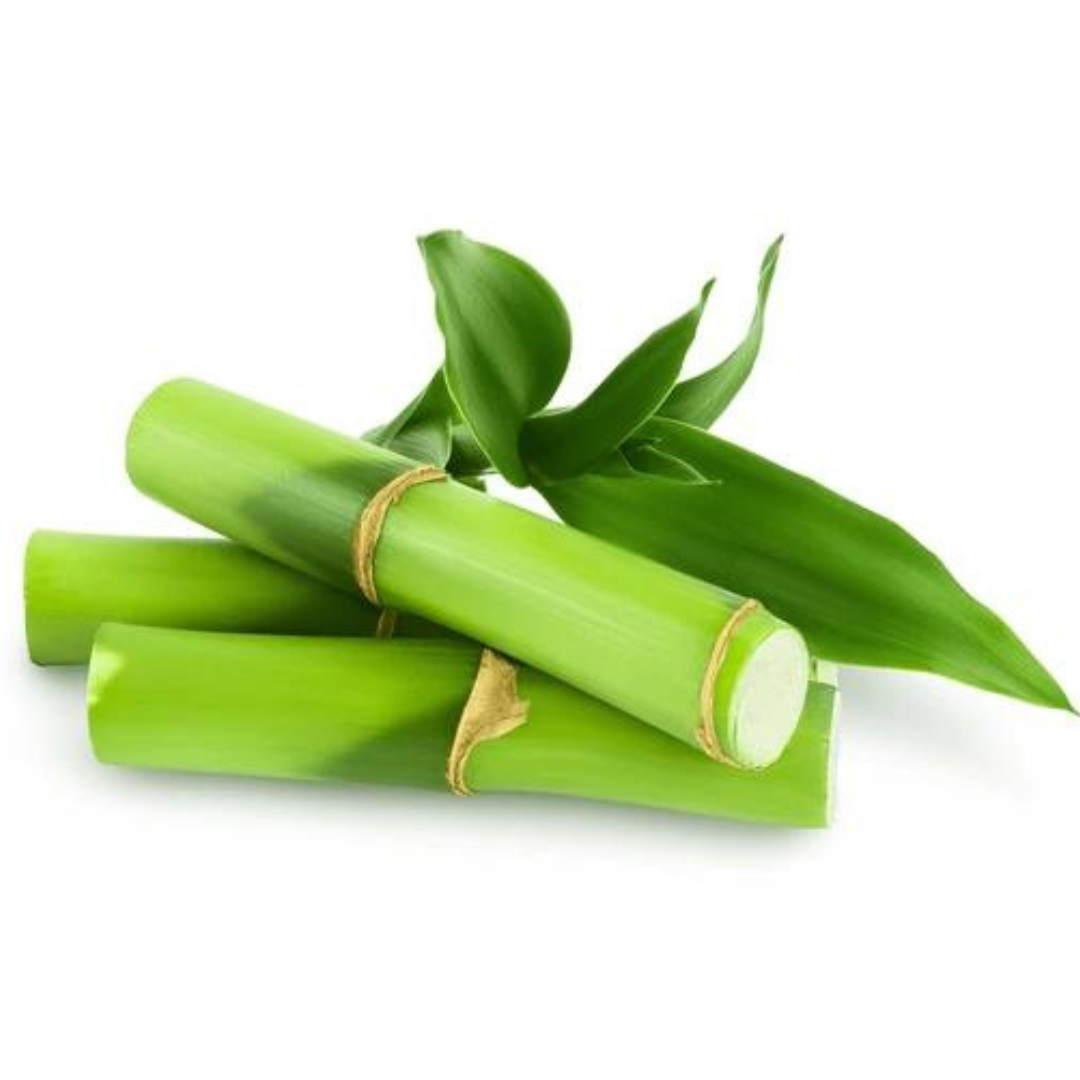Bamboo Raw Materials