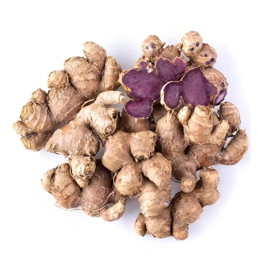 Fresh Black Ginger (Krachaidam) for Wholesale &amp; Export Supply