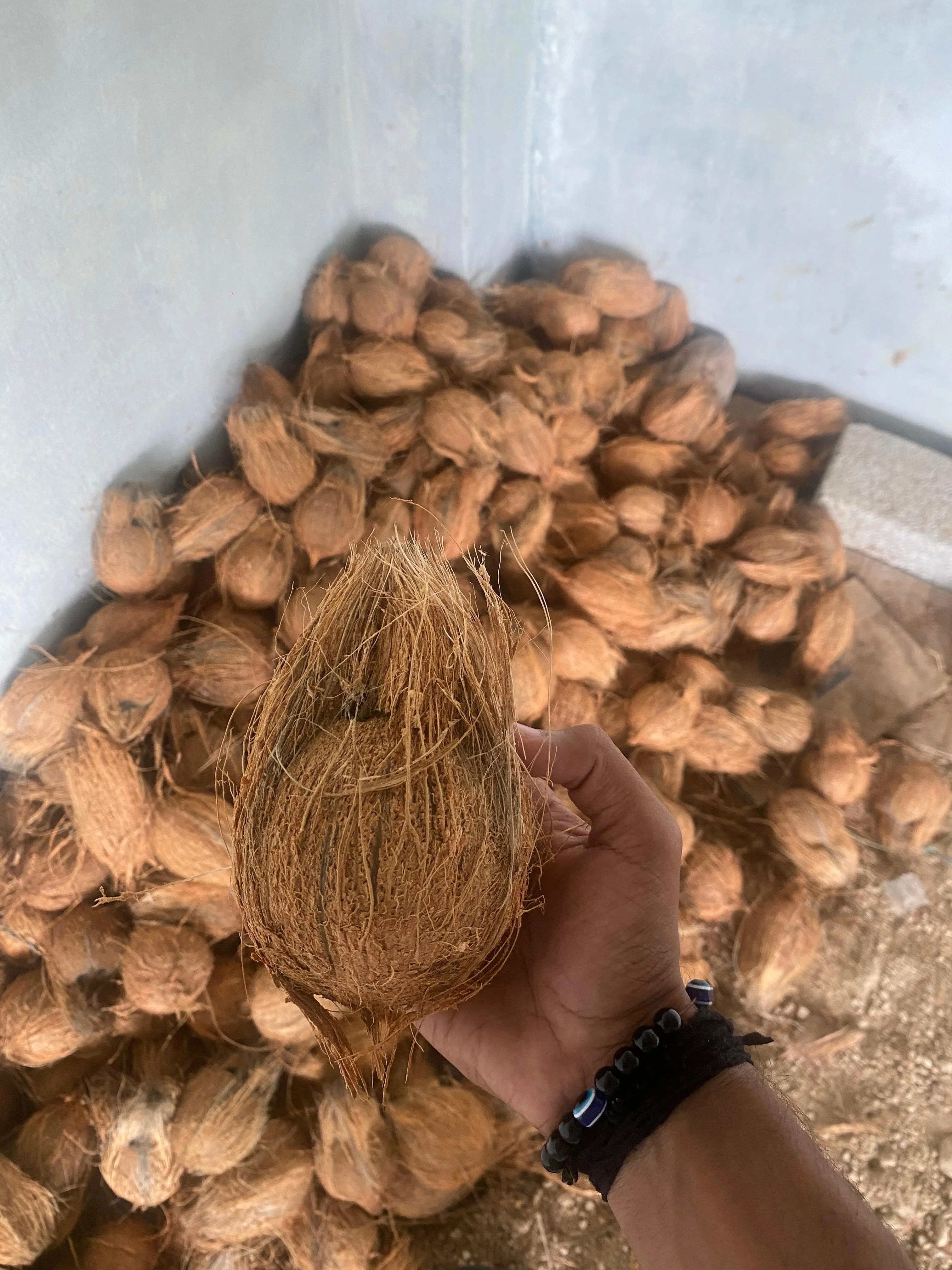 COCONUT