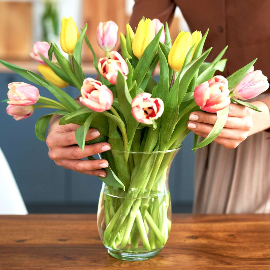 Fresh Cut Flowers