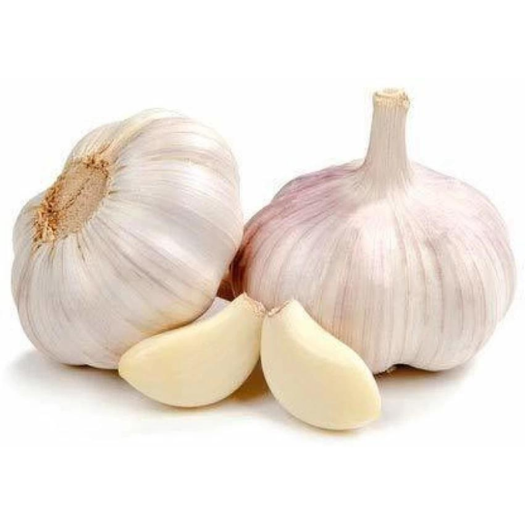 Fresh Garlic