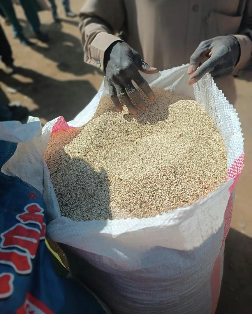 Premium sesame seeds