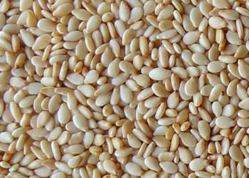 Sesame Seeds