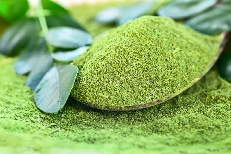 Moringa powder